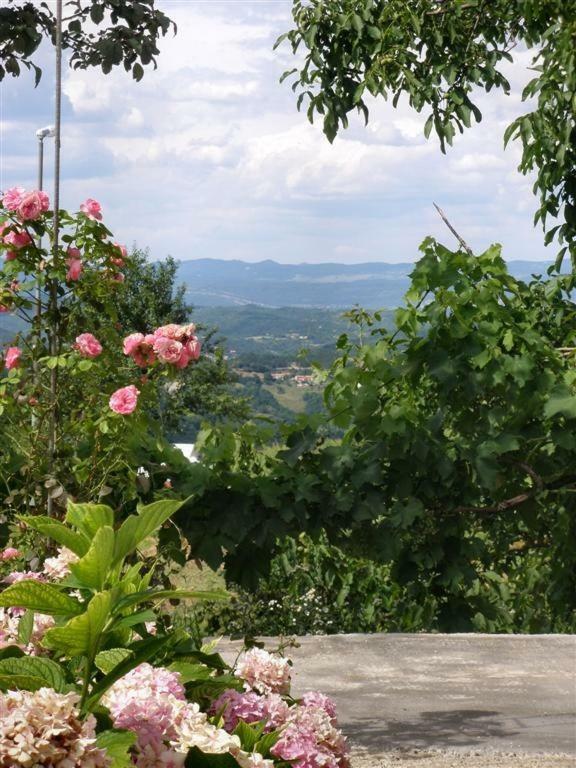 Apartman Vojskovic Gračišće Dış mekan fotoğraf